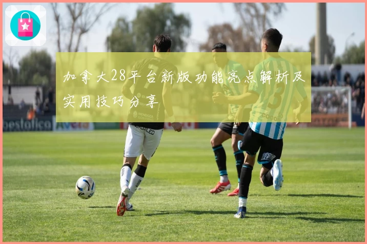 加拿大28平台新版功能亮点解析及实用技巧分享