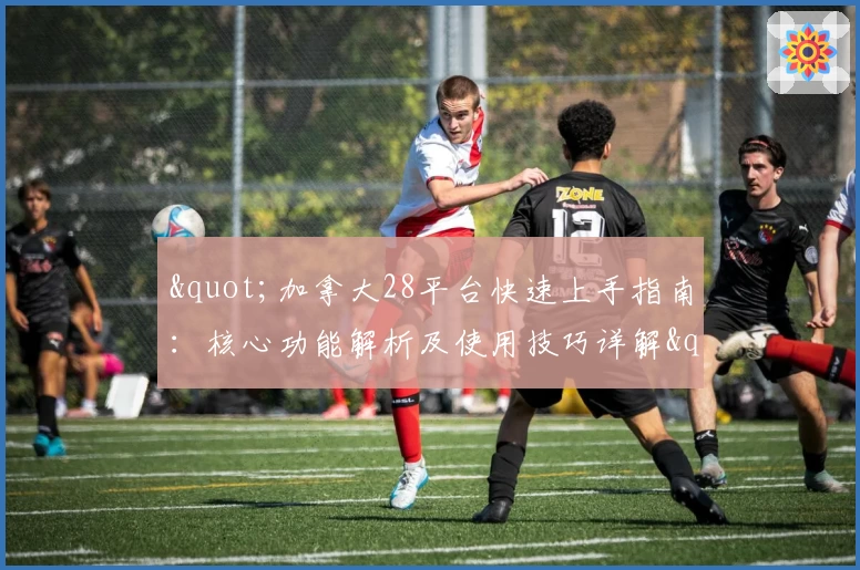 "加拿大28平台快速上手指南：核心功能解析及使用技巧详解"