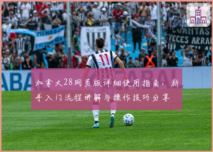 加拿大28网页版详细使用指南,新手入门流程讲解与操作技巧分享