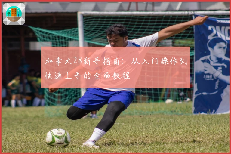 加拿大28新手指南：从入门操作到快速上手的全面教程