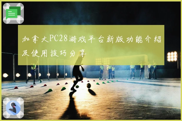 加拿大PC28游戏平台新版功能介绍及使用技巧分享