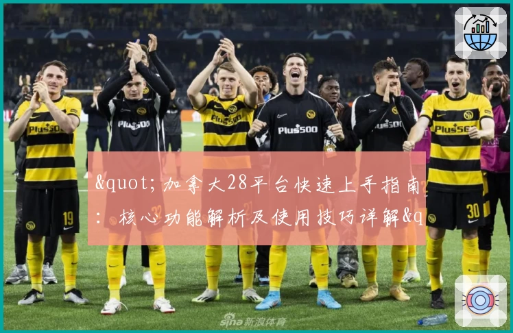 "加拿大28平台快速上手指南：核心功能解析及使用技巧详解"