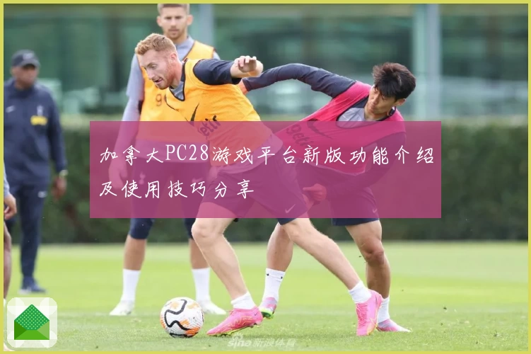 加拿大PC28游戏平台新版功能介绍及使用技巧分享