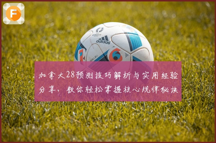 加拿大28预测技巧解析与实用经验分享，教你轻松掌握核心规律秘诀