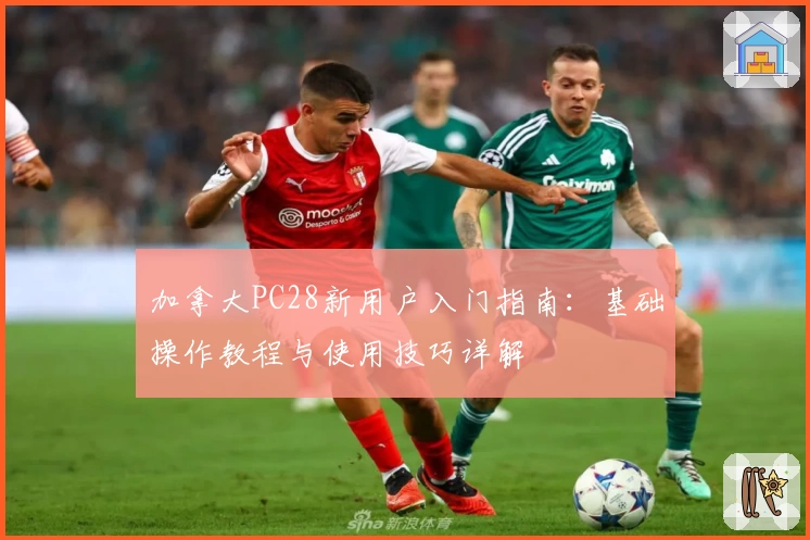 加拿大PC28新用户入门指南：基础操作教程与使用技巧详解