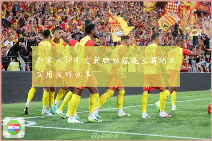 加拿大28平台新版功能亮点解析及实用技巧分享