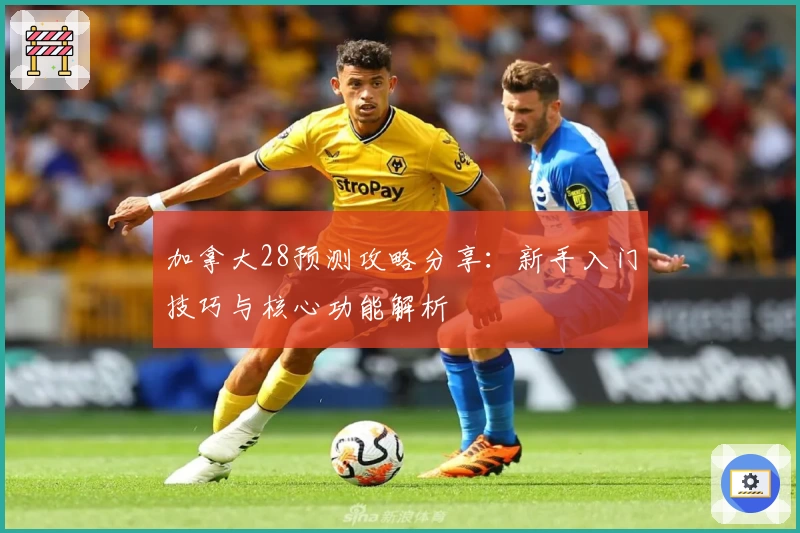 加拿大28预测攻略分享：新手入门技巧与核心功能解析