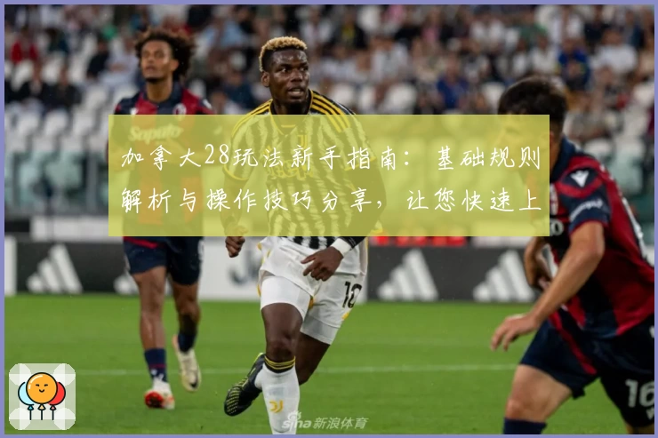 加拿大28玩法新手指南:基础规则解析与操作技巧分享,让您快速上手轻松体验