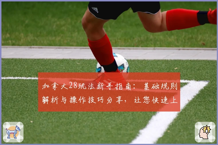 加拿大28玩法新手指南：基础规则解析与操作技巧分享，让您快速上手轻松体验
