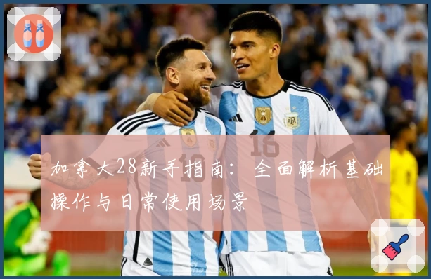 加拿大28新手指南：全面解析基础操作与日常使用场景