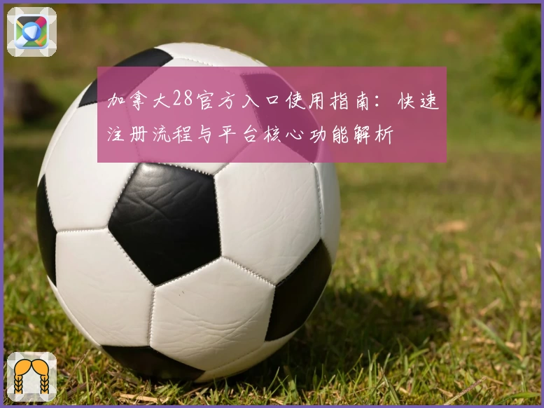 加拿大28官方入口使用指南：快速注册流程与平台核心功能解析