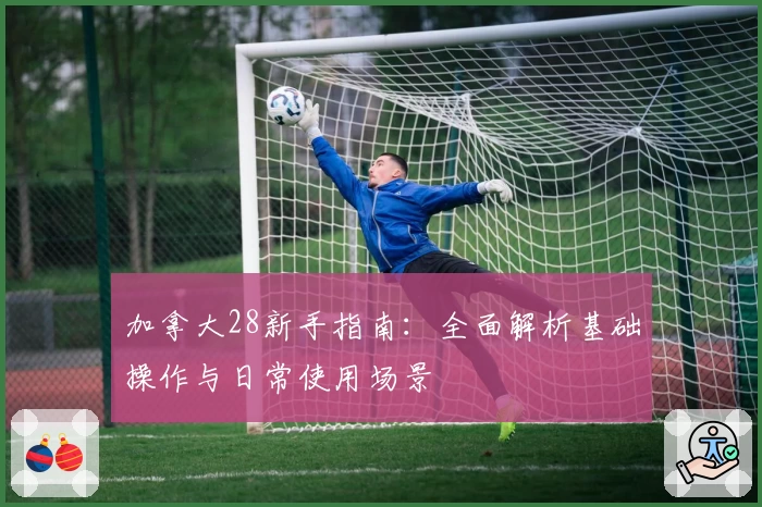 加拿大28新手指南：全面解析基础操作与日常使用场景