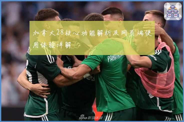 加拿大28核心功能解析及网页端使用体验详解