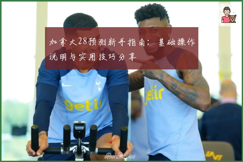 加拿大28预测新手指南：基础操作说明与实用技巧分享